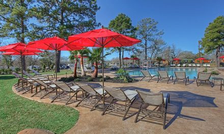 Are Parks Required to Provide Lease Agreements in Different Languages?