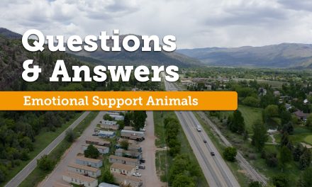 Are Emotional Support Animals Allowed in the Park?